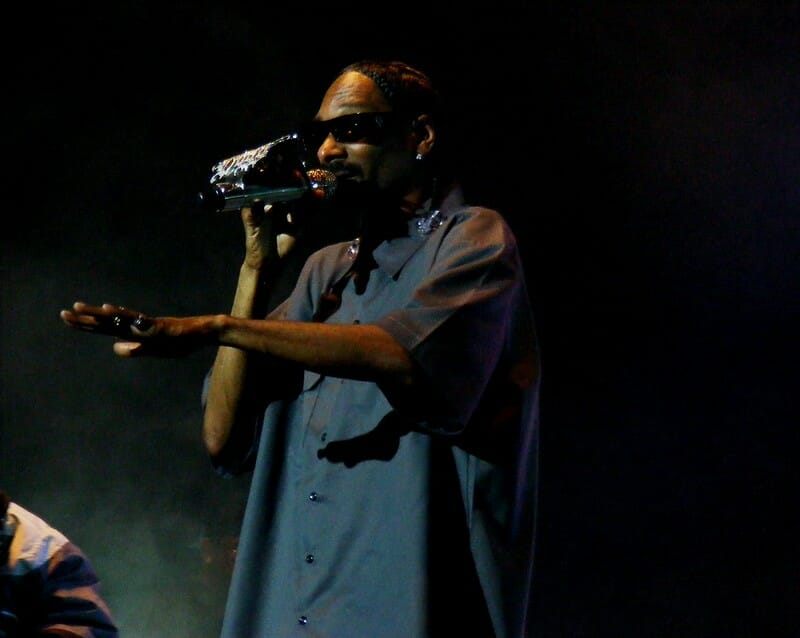 Read more about the article Snoop Dogg reveals his excitement for the potential of NFTs