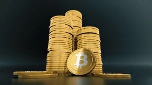 Read more about the article GoldenTree Asset Management begin investments in Bitcoin